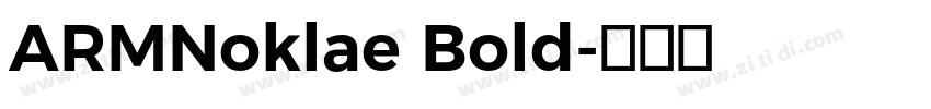 ARMNoklae Bold字体转换 ARMNoklae Bold字体转换